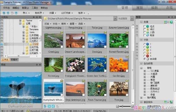 ACDSee12ƽةACDSeeк