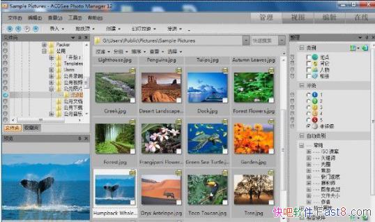 ACDSee12ƽ(ACDSeeƽACDSeeк)
