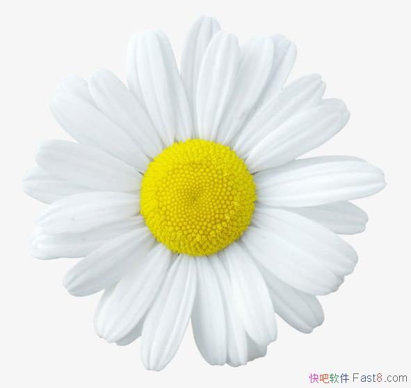 й紫ͳԪػɫ1700x1700&͸زPNGԭͼ