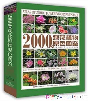 ˫ϲ2000ֹۻֲԭɫͼۻֲ͹azw3