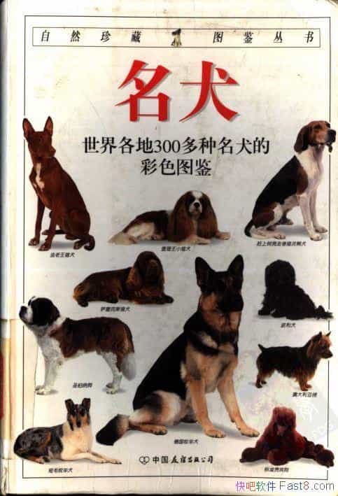 Ȯȫ300ȮĲɫͼɨPDF