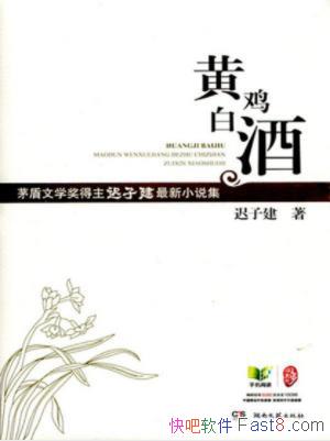 ӽƼ׾ƣӽС˵epub+mobi+azw3