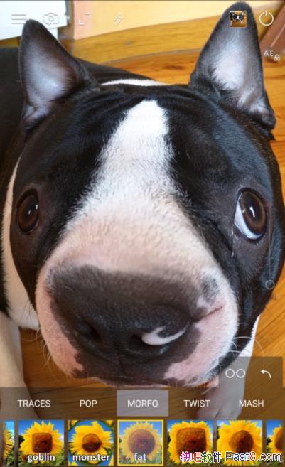 Cameringo+רҵv2.8.36 ֧佹/ð׿Ӱ