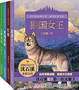 ʯϪС˵ϵ4װ/ǹŮ/epub+mobi+azw3