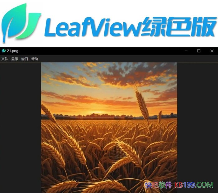 LeafViewͼƬ鿴v3.9.3ɫ/һͼƬ鿴ؿ