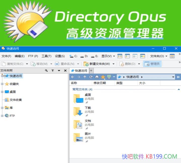 Directory Opus Pro v13.20 ɫ/ĵȫΪƿ