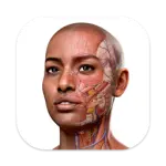 Complete Anatomy for Mac v11.5.0 ƽ/3Dģ͵ӾЧ
