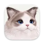 inZOI for Mac v0.19 /һģϷ صĹº;