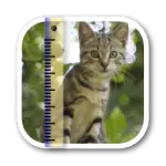 SizeMyPics for Mac v1.8.1ƽ/ܴͼʽΪ