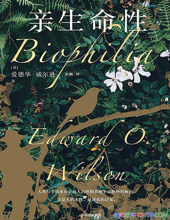 ���������ԡ�[��] ���»�������ѷ/̽���˱��Եķ�Դ /epub+mobi+azw3+pdf 