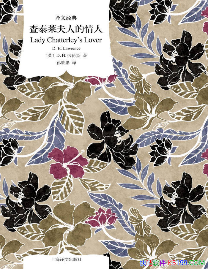 ����̩�����˵����ˡ�[Ӣ] D.H.����˹/��ѧ����֮��/epub+mobi+azw3+pdf 