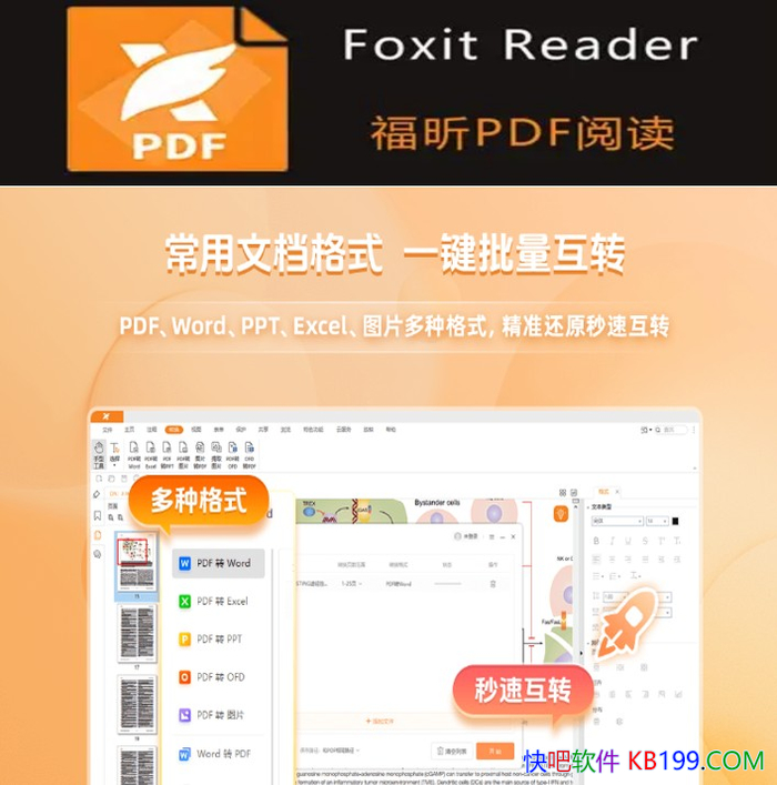 ����Ķ��� Foxit Reader v2026.1.1��ɫ��/�鿴�ʹ�ӡPDF
